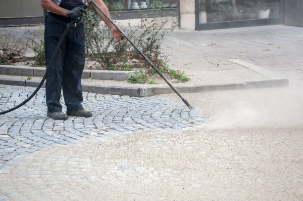 Best Sidewalk and Walkway Cleaning  in Iowa, LA