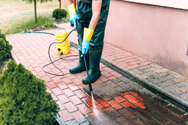 Best Driveway Pressure Washing  in Iowa, LA